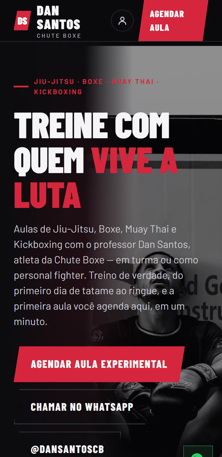 Tela inicial do site da Dan Santos no celular